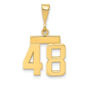 14k yellow gold small polished number 48 charm