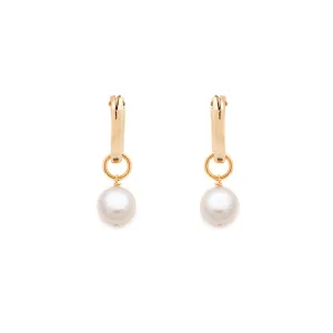 Ava Earrings - Pearl & Gold