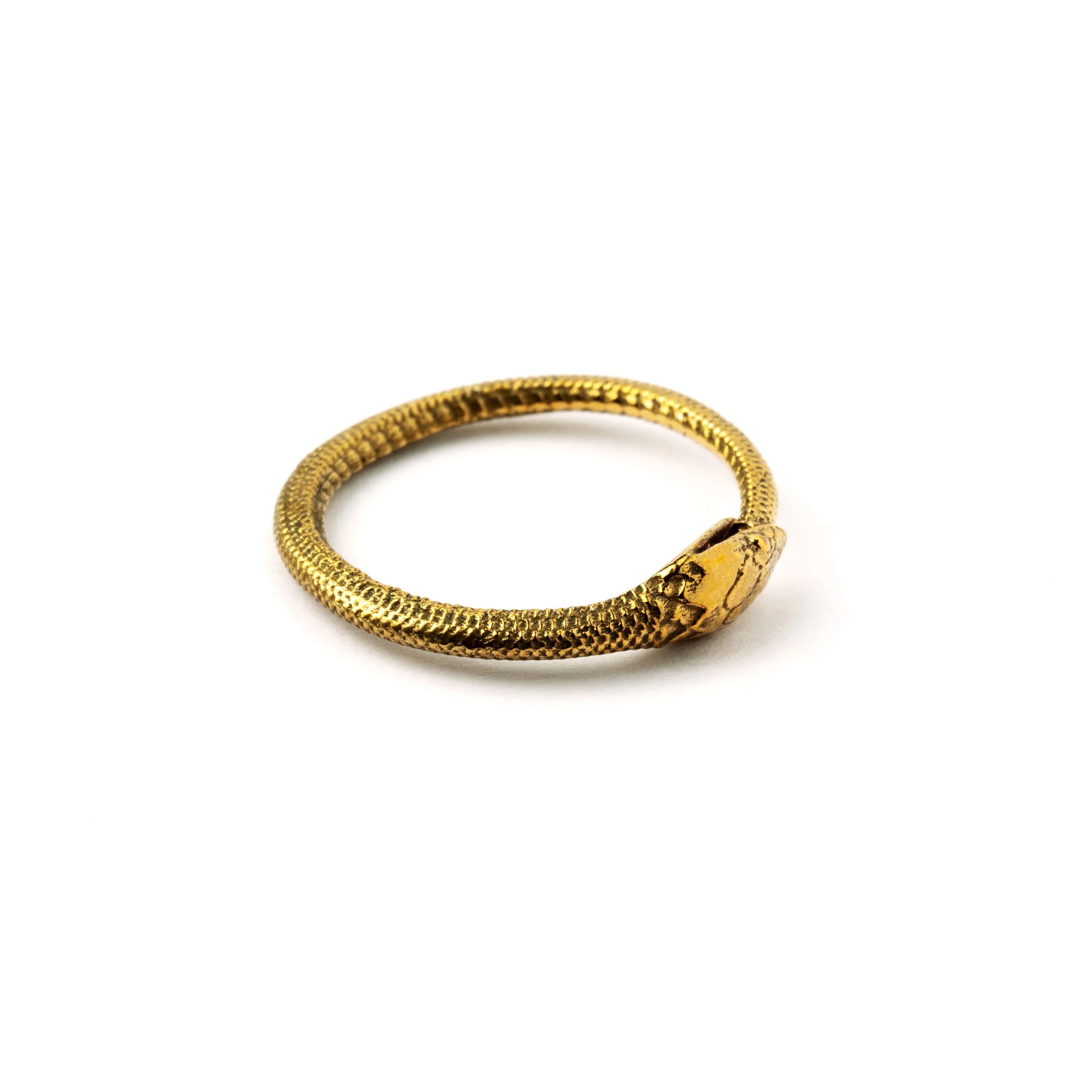 Bronze Ouroboros Ring