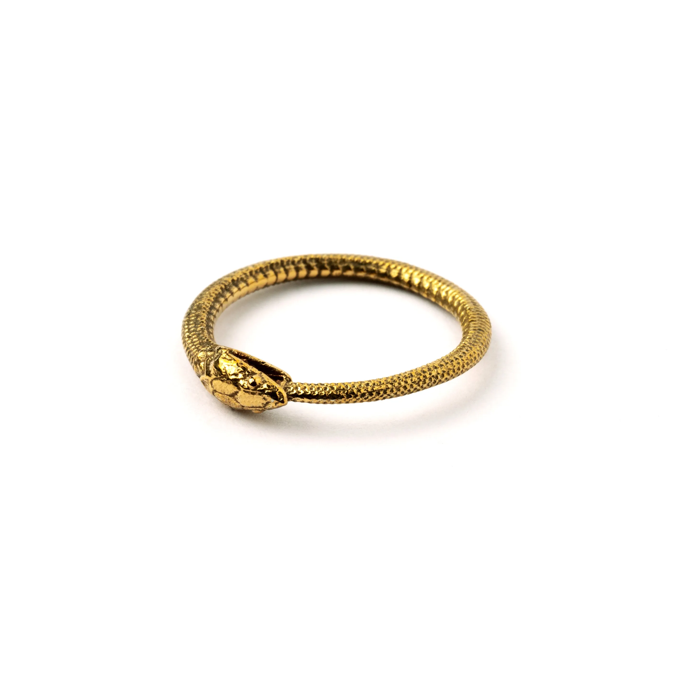 Bronze Ouroboros Ring