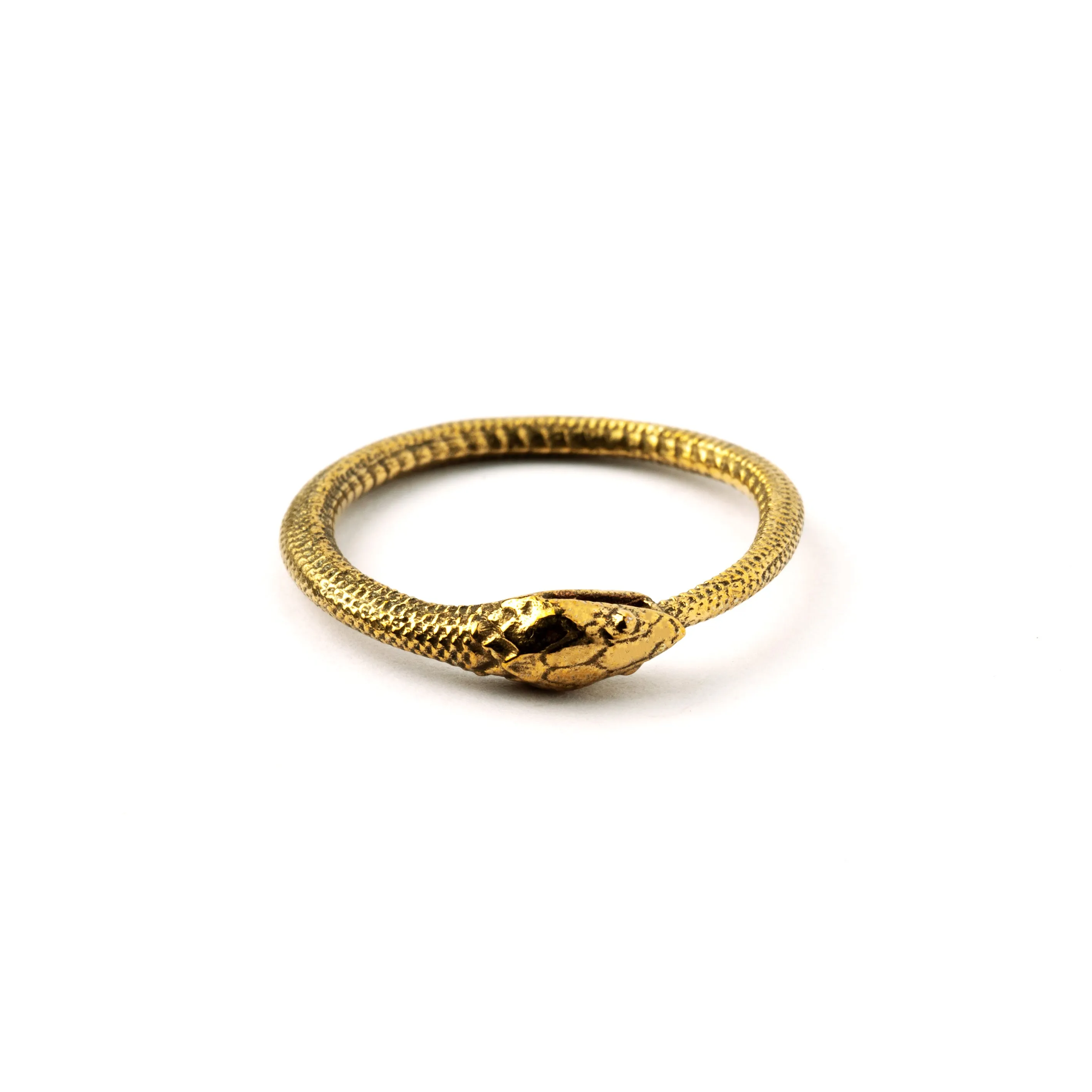 Bronze Ouroboros Ring