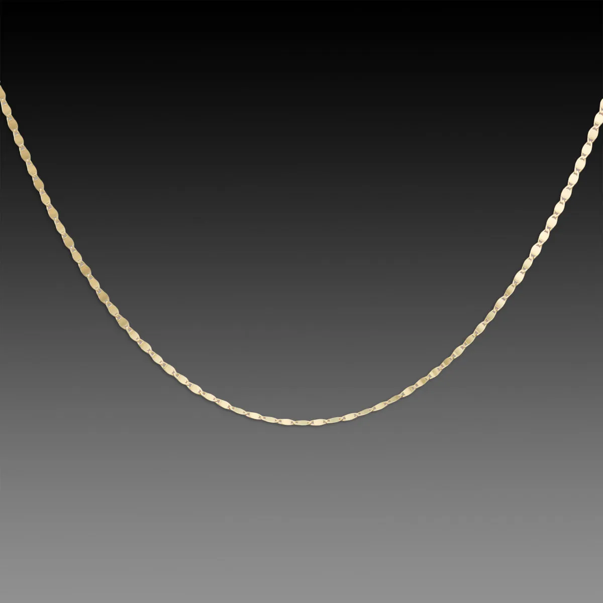 Delicate Gold Flat Chain Necklace