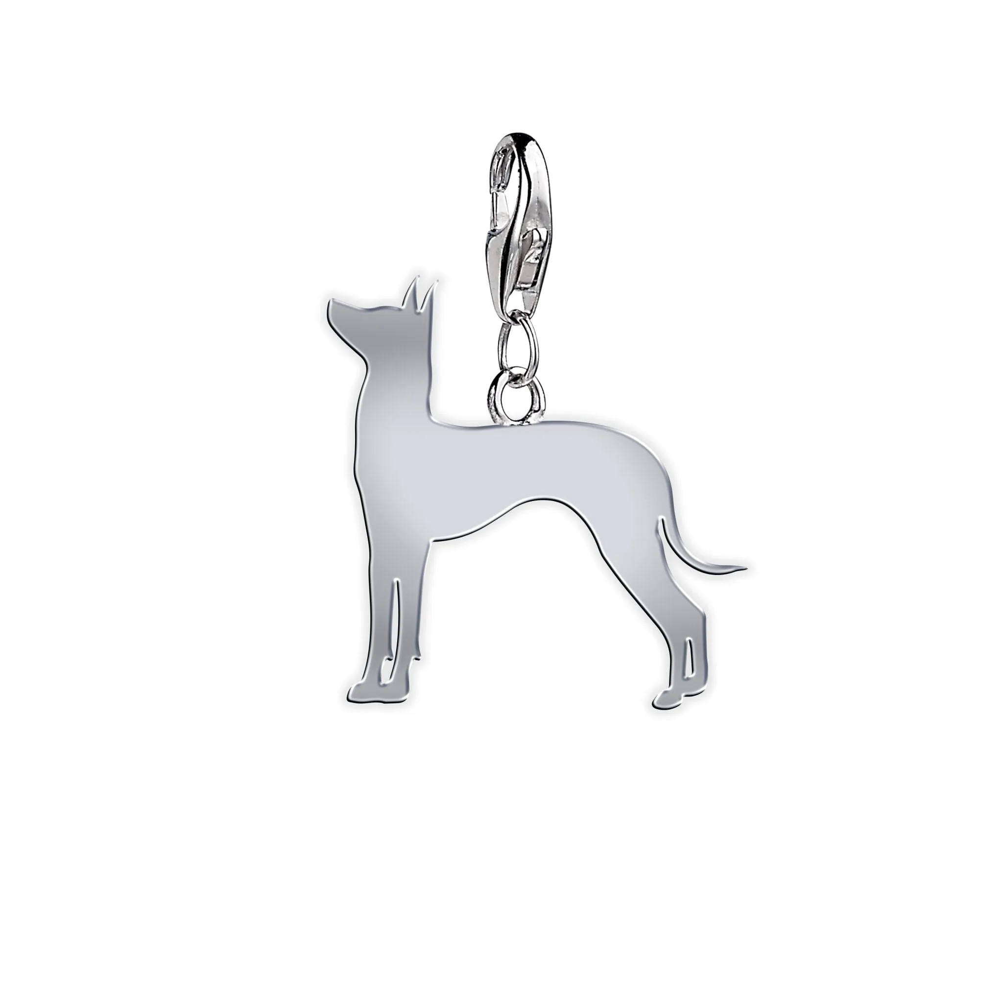 Mexican Hairless Dog Silhouette Silver Charm