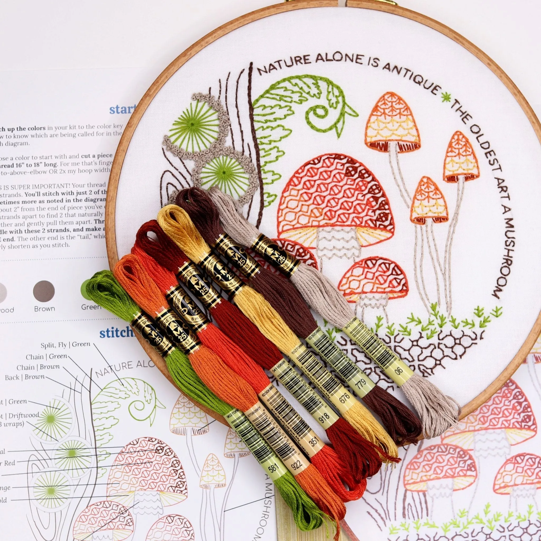 Mushrooms Embroidery Kit