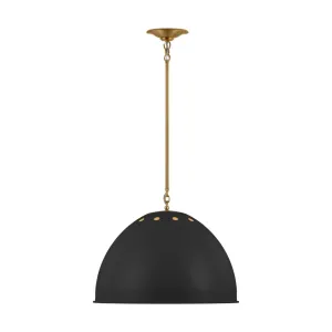 Robbie 20 in. Pendant Light Black Finish